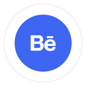 icon 5
